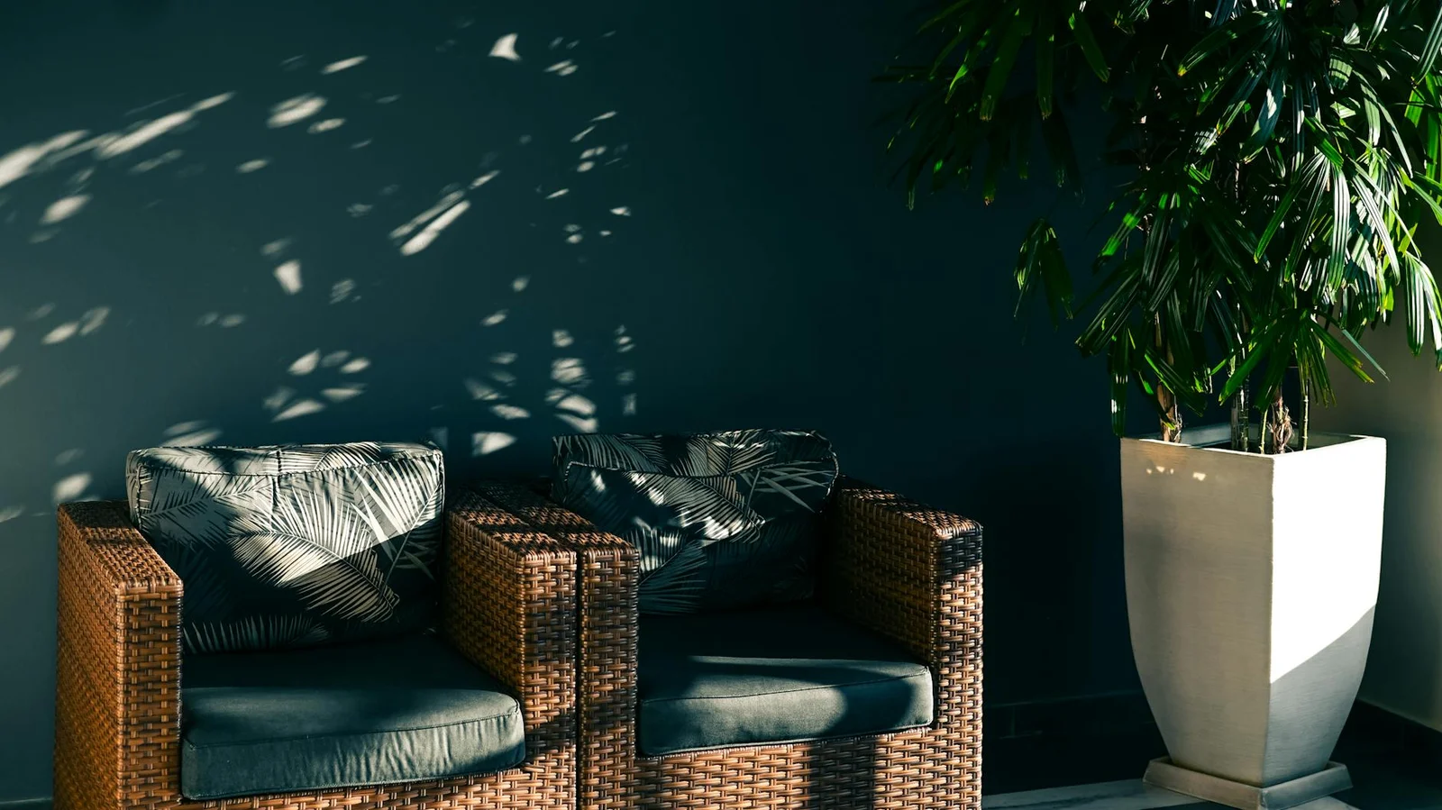 Phong Cách Thiết Kế Nội Thất Tropical