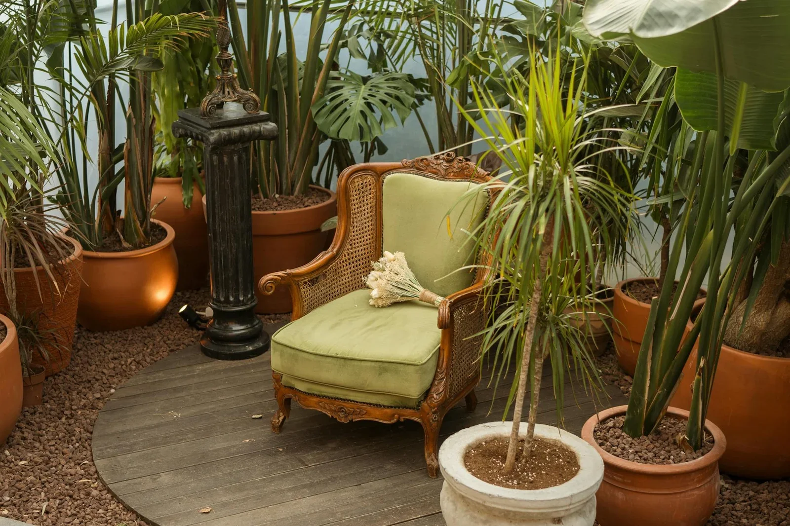 Vintage armchair surrounded by tropical potted plants in a c | Thiết kế nội thất 24