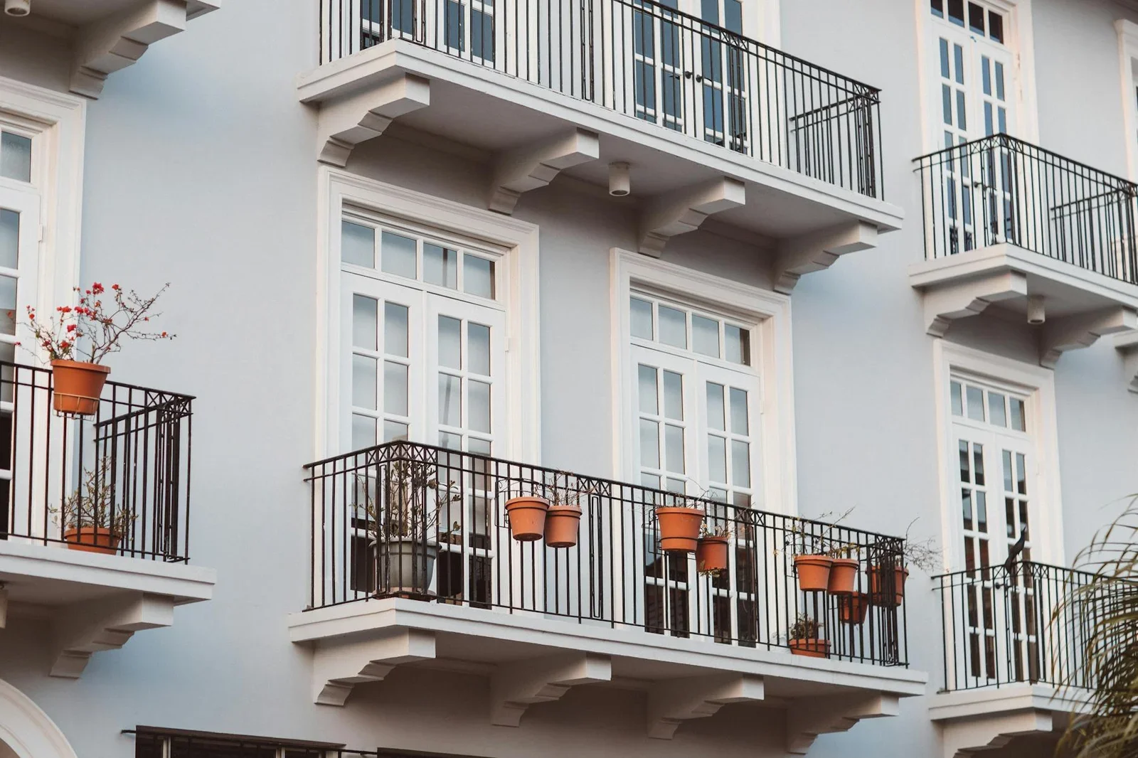 Front view of a modern building with balconies, pots, and wh | Thiết kế nội thất 24