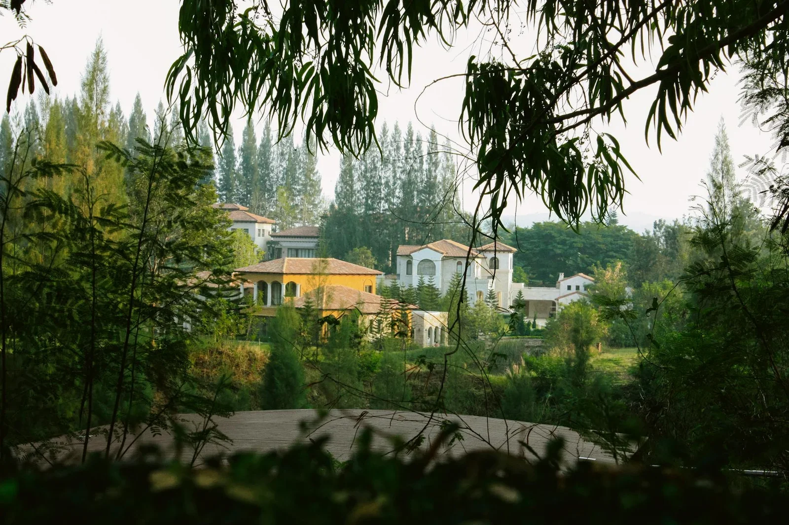 Idyllic forest panorama showcasing luxurious villas in a ser | Thiết kế nội thất 24