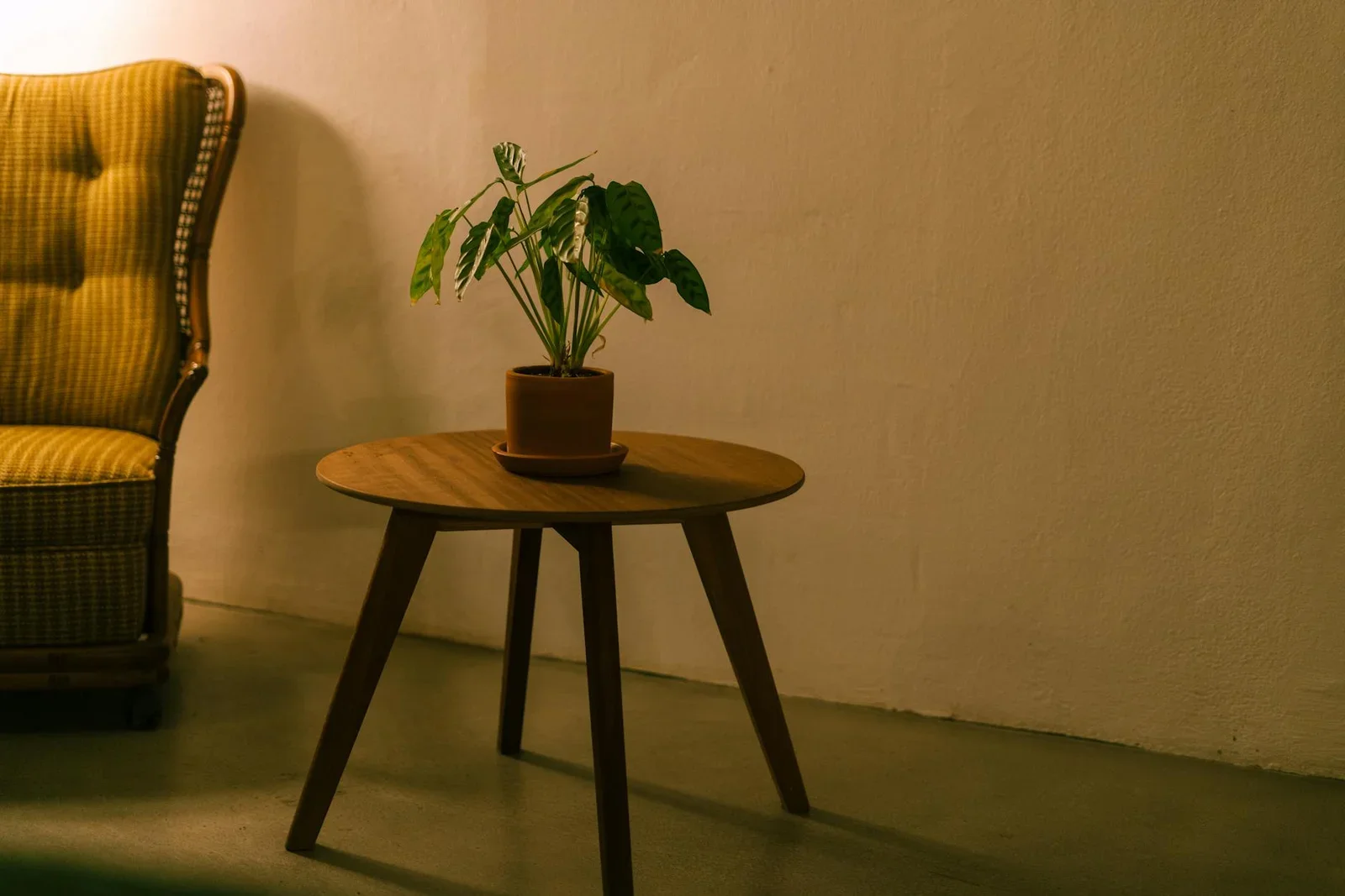 A warm, inviting indoor scene featuring a wooden table and a | Thiết kế nội thất 24