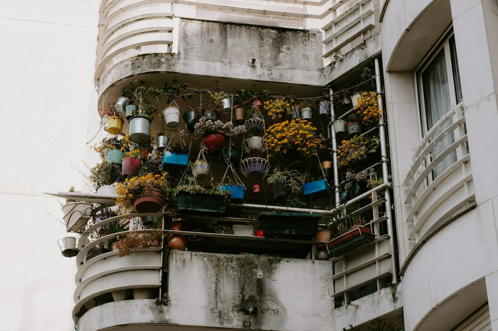 Low angle view of a balcony brimming with vibrant potted pla | Thiết kế nội thất 24