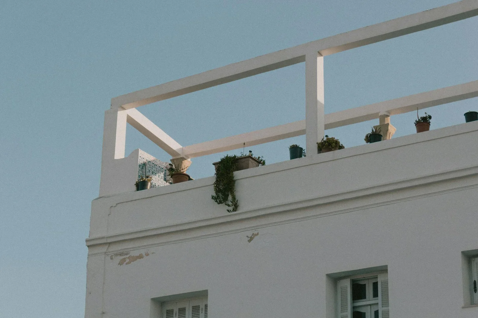 A minimalist white building with a rooftop terrace adorned w | Thiết kế nội thất 24