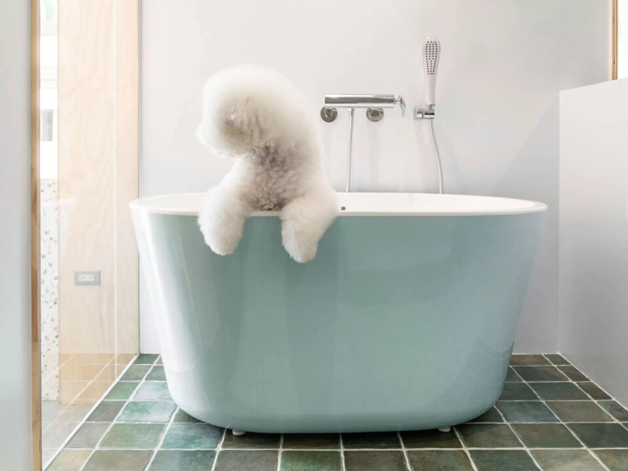 Không Gian Tinh Tế Của Pet Life