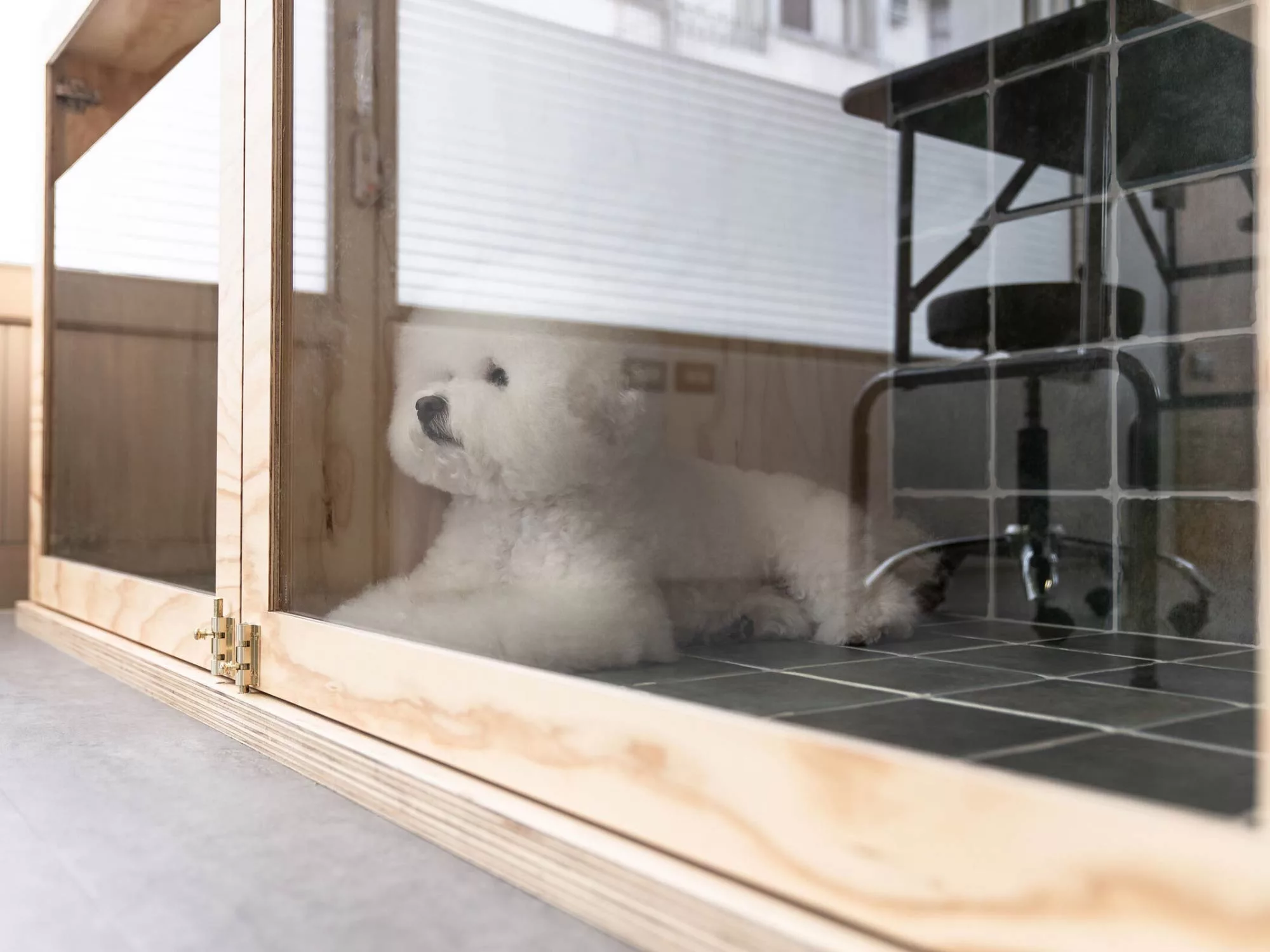 Không Gian Tinh Tế Của Pet Life