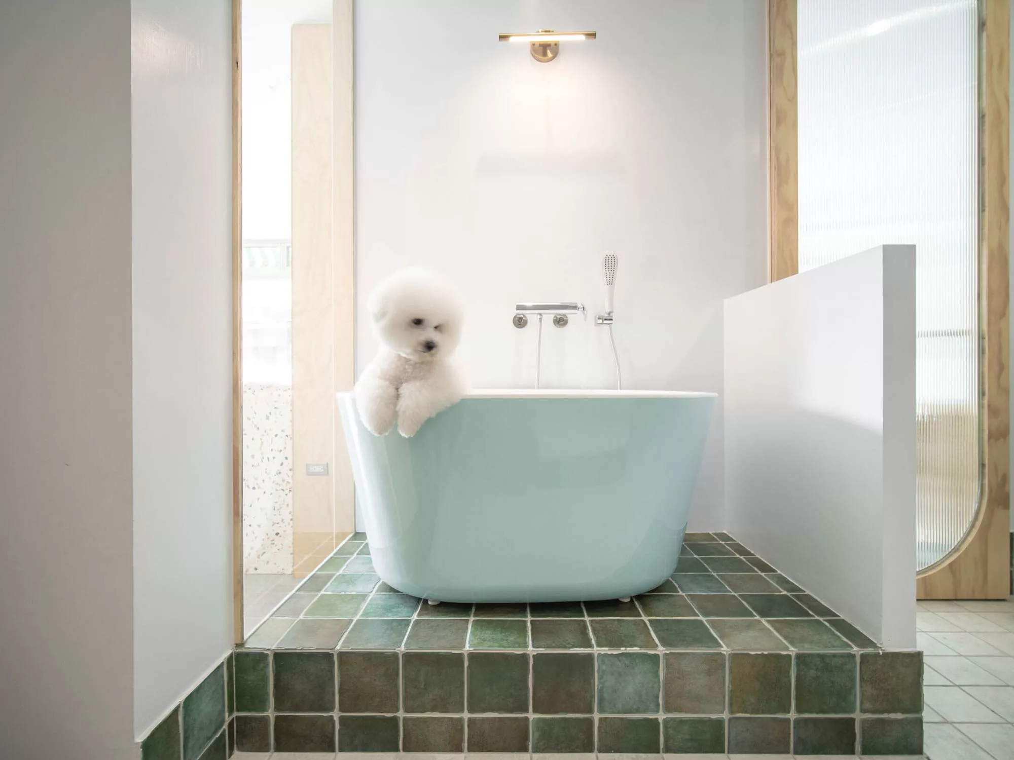 Không Gian Tinh Tế Của Pet Life