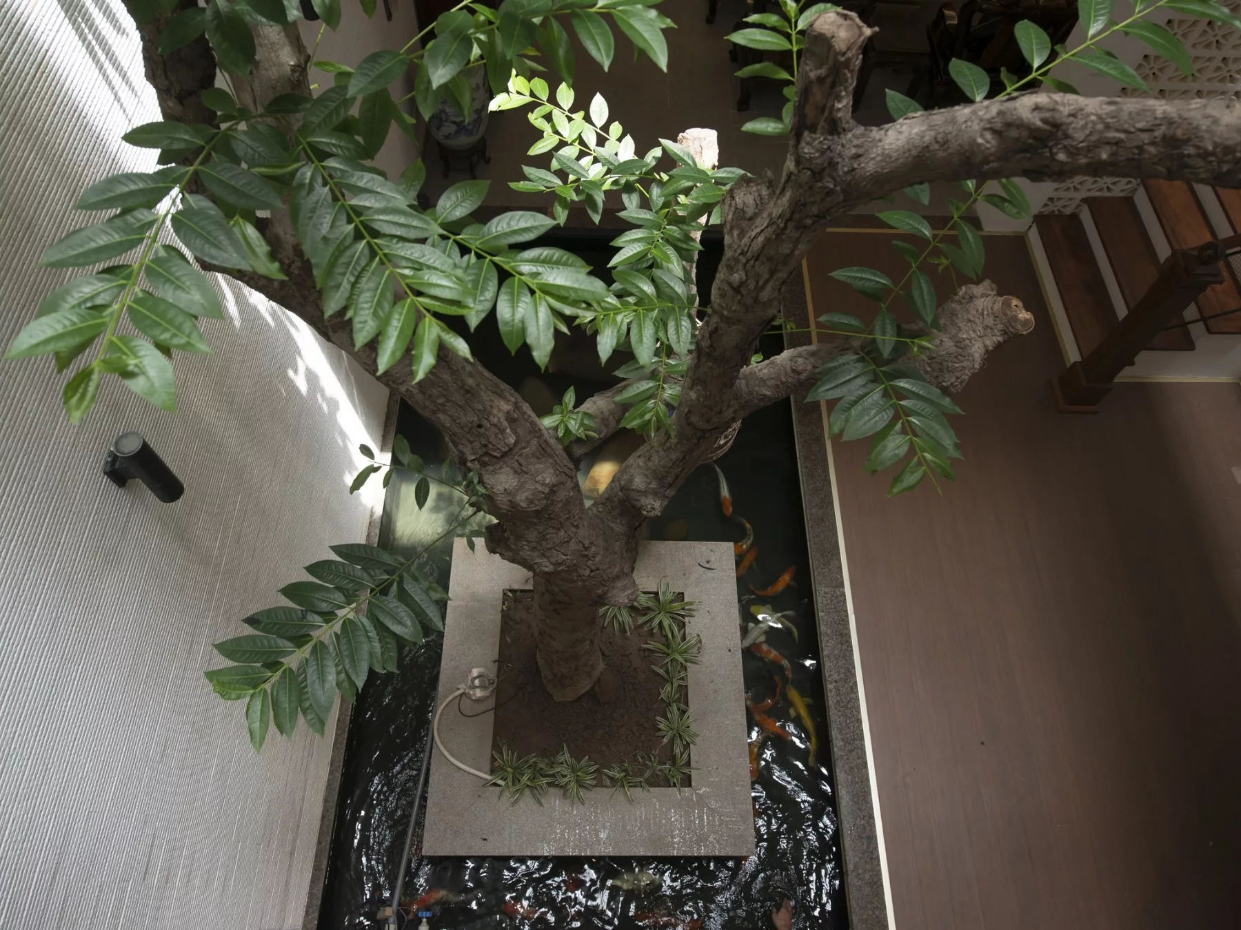 Không Gian Sống Đẳng Cấp Tại Thủ Đức