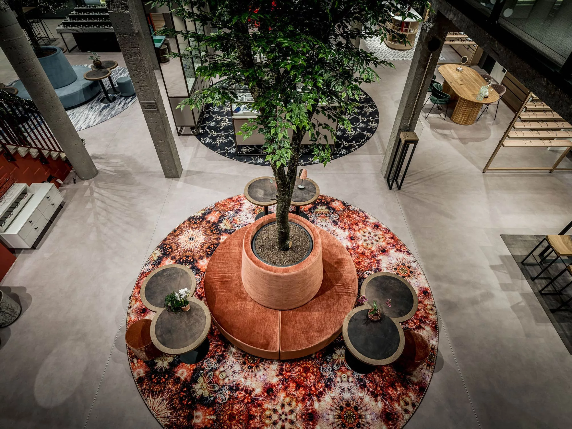 Không Gian Tinh Tế - Showroom Mắt Kính Phong Cách Hiện Đại
